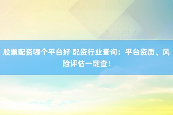 股票配资哪个平台好 配资行业查询：平台资质、风险评估一键查！