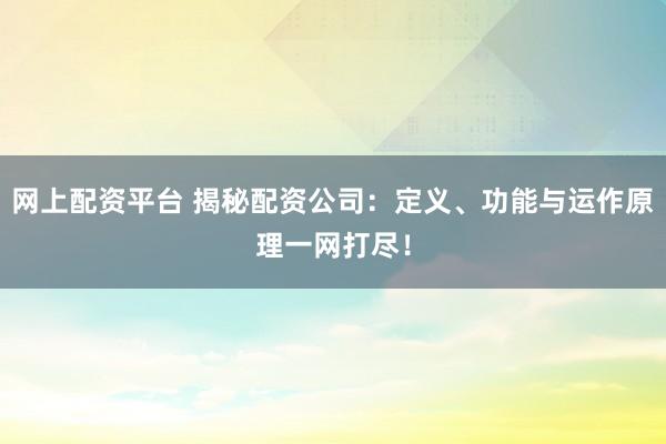 网上配资平台 揭秘配资公司：定义、功能与运作原理一网打尽！