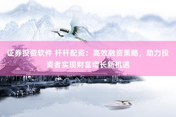 证券投资软件 杆杆配资：高效融资策略，助力投资者实现财富增长新机遇