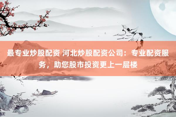 最专业炒股配资 河北炒股配资公司：专业配资服务，助您股市投资更上一层楼
