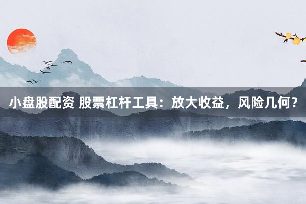 小盘股配资 股票杠杆工具：放大收益，风险几何？